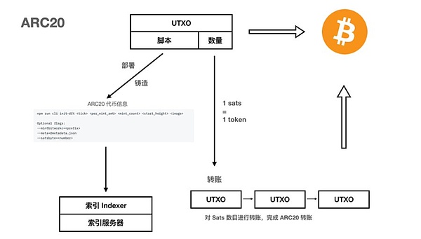 从IT神童到币圈狂人：戴志康的豪赌人生
