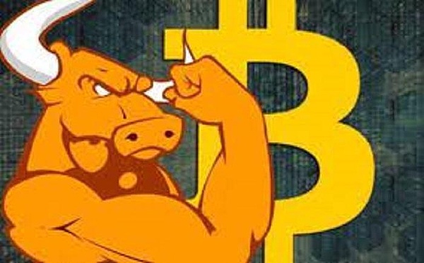 惊人发现：社交小平台竟在手续费上碾压比特币！