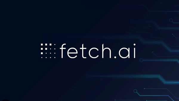 Web3宠物社交赛道迎来重磅玩家：Blockchain Capital豪掷千万押注PetCat